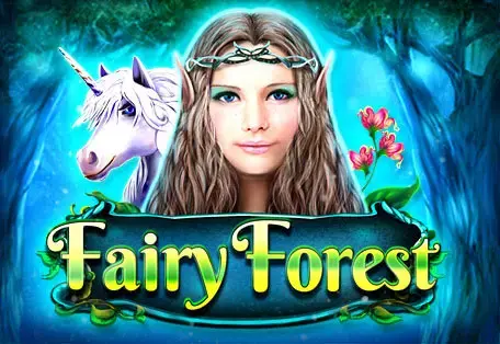 Fairy Forest - Spin City - Congo