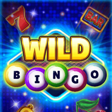 Wild Bingo - Spin City - Congo