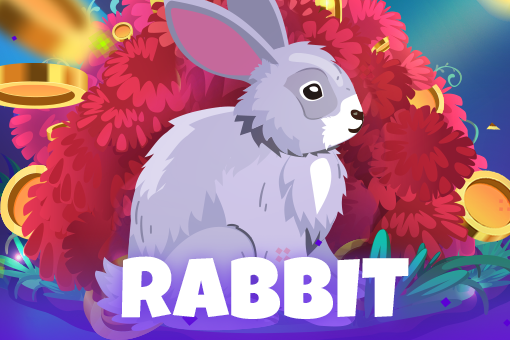 Rabbit - Spin City - Congo