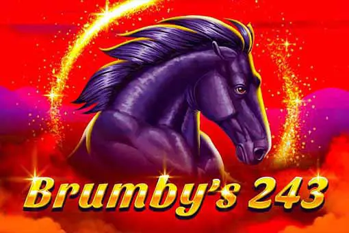 Brumby's 243 - Spin City - Congo