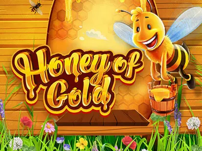 Honey of Gold - Spin City - Congo