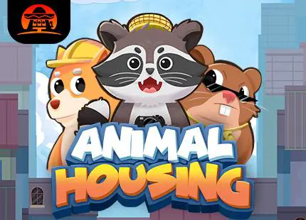Animal Housing - Spin City - Congo