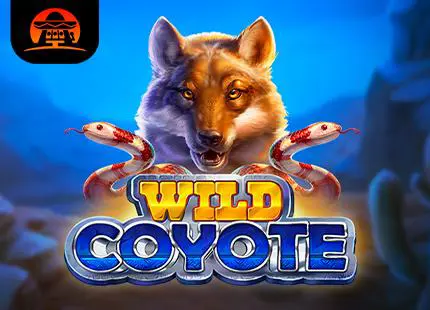 Wild Coyote - Spin City - Congo