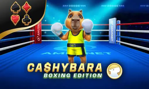 Cashybara Boxing Edition - Spin City - Congo