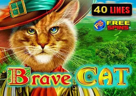 Brave Cat - Spin City - Congo