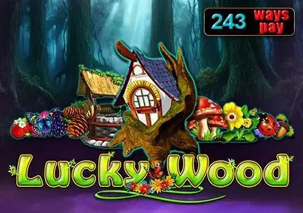 Lucky Wood - Spin City - Congo