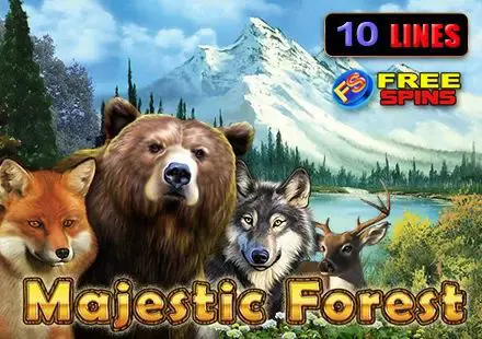 Majestic Forest - Spin City - Congo