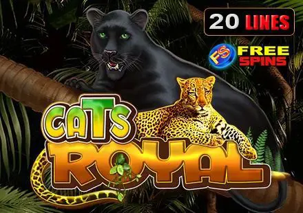 Cats Royal - Spin City - Congo