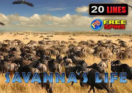Savanna's Life - Spin City - Congo