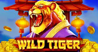 Wild Tiger - Spin City - Congo