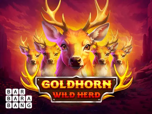 Goldhorn Wild Herd - Spin City - Congo