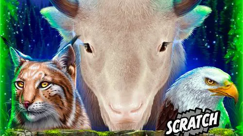 White Buffalo Miracles Scratch - Spin City - Congo