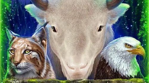 White Buffalo Miracles - Spin City - Congo