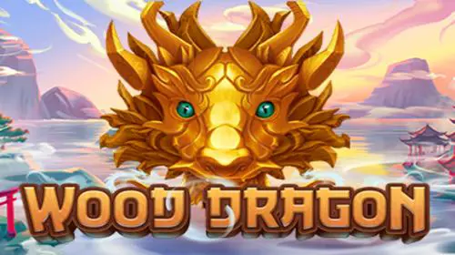 Wood Dragon 94 - Spin City - Congo