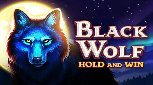 Black Wolf - Spin City - Congo