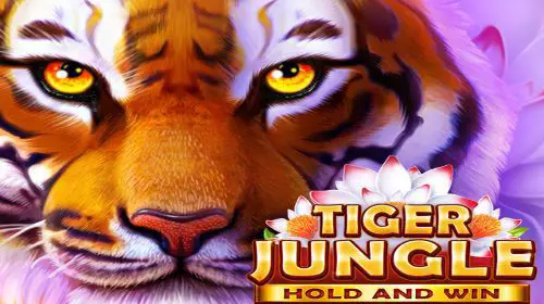 Tiger Jungle - Spin City - Congo