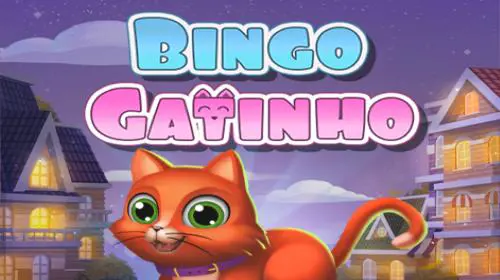 Bingo Gatinho - Spin City - Congo