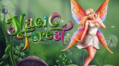 Magic Forest - Spin City - Congo