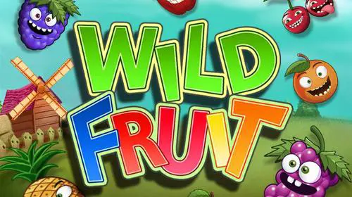 Wild Fruit - Spin City - Congo