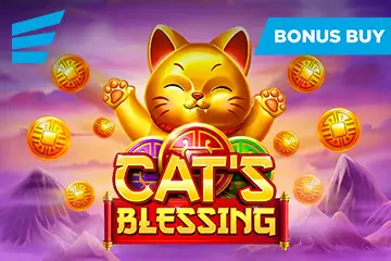 Cat's Blessing - Spin City - Congo