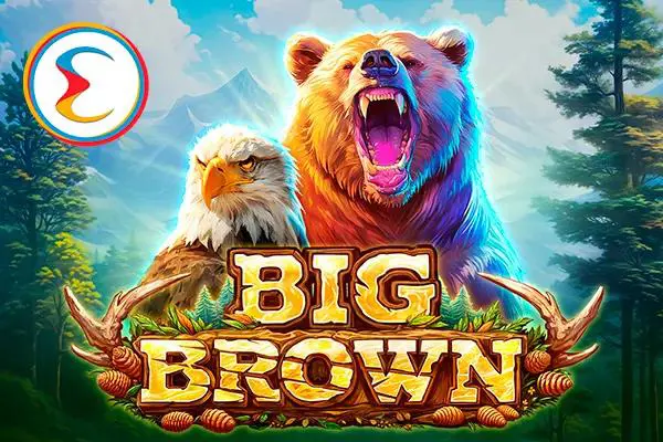 Big Brown - Spin City - Congo