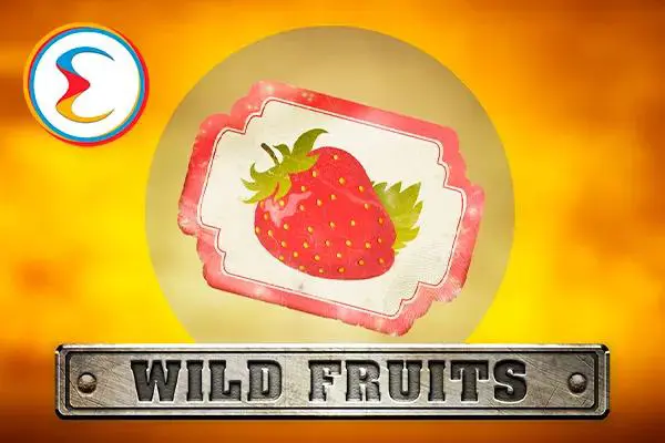 Wild Fruits - Spin City - Congo