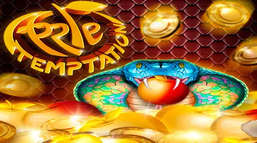 Apple Temptation - Spin City - Congo