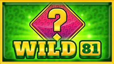 Wild 81  - Spin City - Congo
