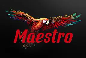 Maestro - Spin City - Congo