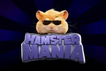 Hamster Mania - Spin City - Congo