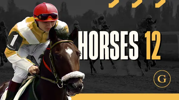 Horses 12 Sprint Scheduled - Spin City - Congo