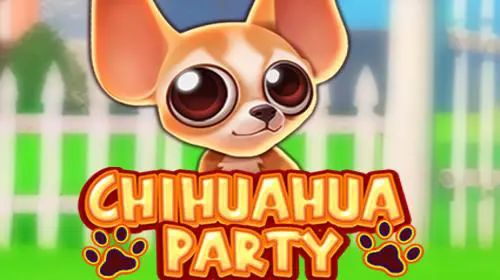 Chihuahua Party - Spin City - Congo