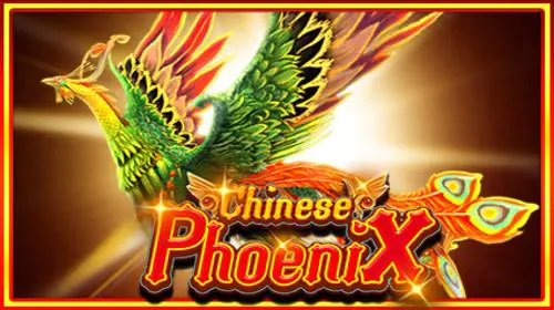 Chinese Phoenix - Spin City - Congo