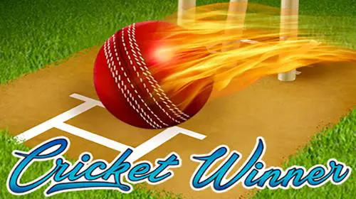 Cricket Winner - Spin City - Congo