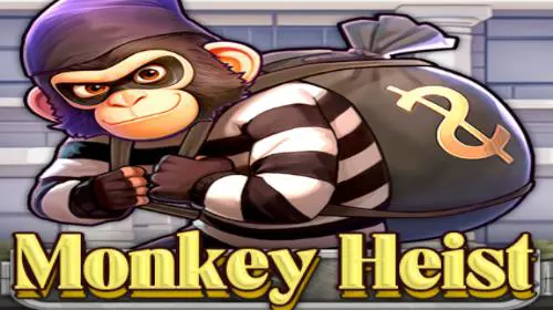 Monkey Heist - Spin City - Congo