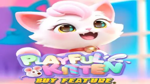Playful Kitten Buy Feature - Spin City - Congo