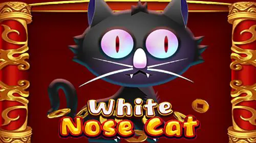 White Nose Cat - Spin City - Congo