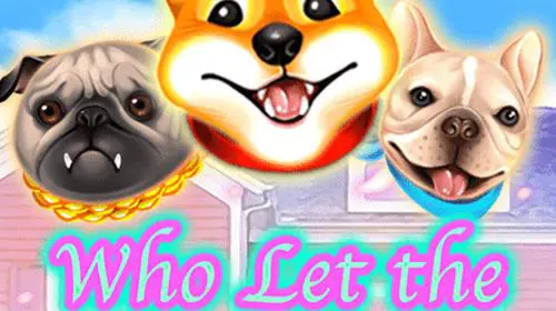 Who Let the Dogs Out - Spin City - Congo