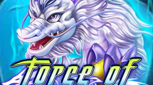 Force of Dragon - Spin City - Congo