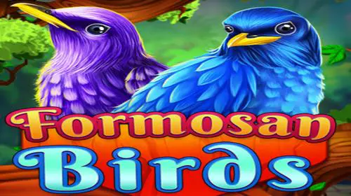 Formosan Birds - Spin City - Congo