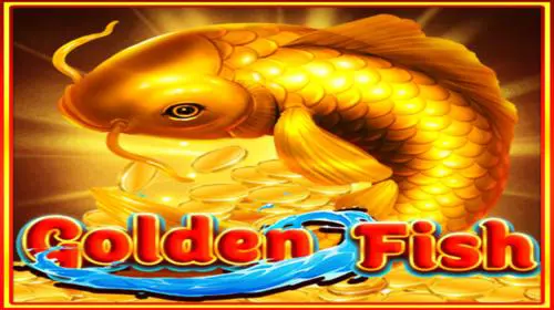 Golden Fish - Spin City - Congo