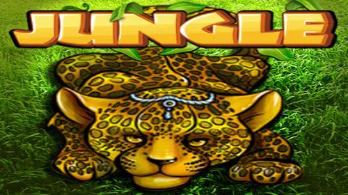 Jungle - Spin City - Congo