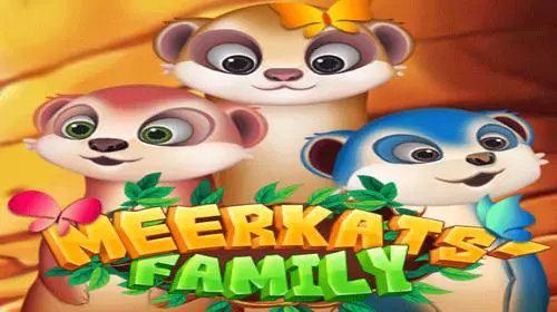 Meerkats' Family - Spin City - Congo