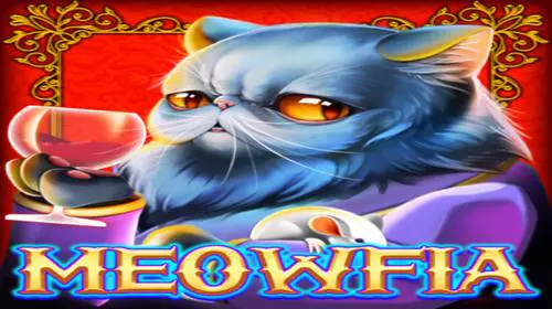 Meowfia - Spin City - Congo