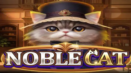 Noble Cat - Spin City - Congo