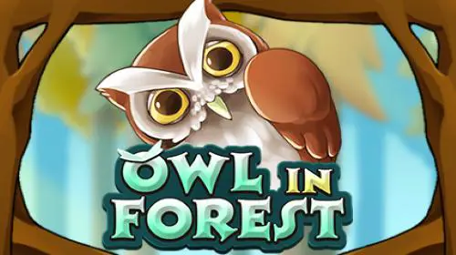 Owl In Forest - Spin City - Congo