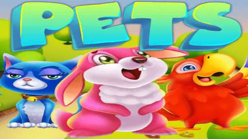 Pets - Spin City - Congo