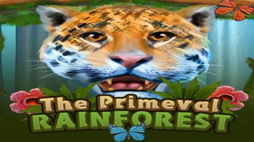 Primeval Rainforest - Spin City - Congo