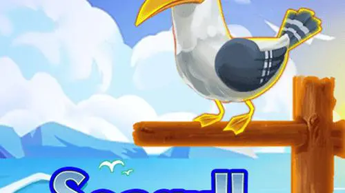 Seagull - Spin City - Congo