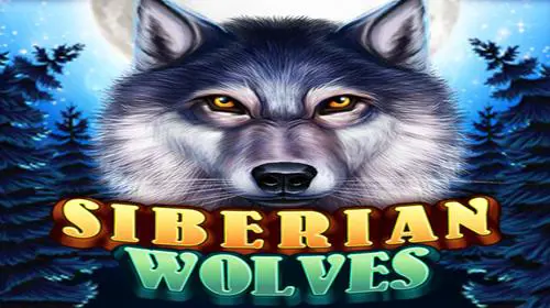 Siberian Wolves - Spin City - Congo